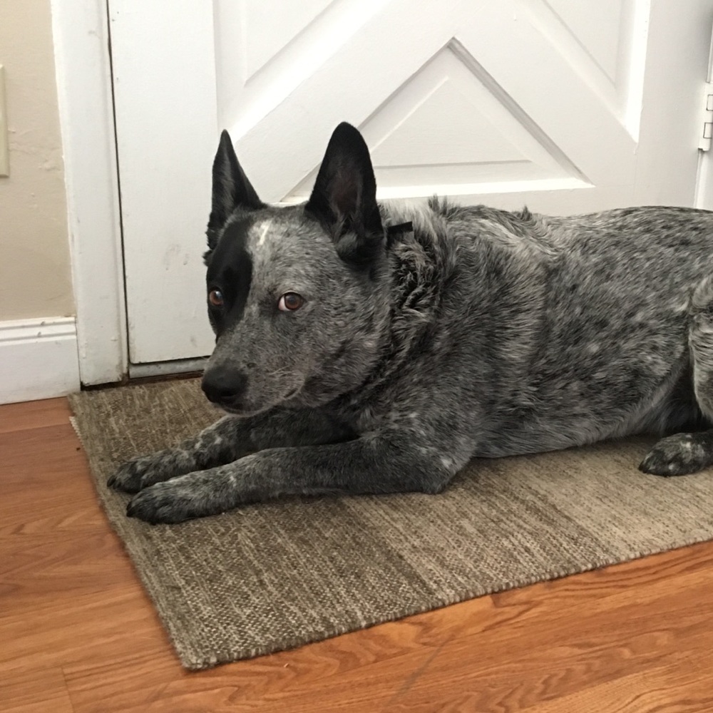 Meet your Posher, Shawna